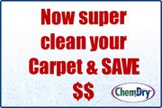 Carpet Cleaning Offers at Fort Lauderdale