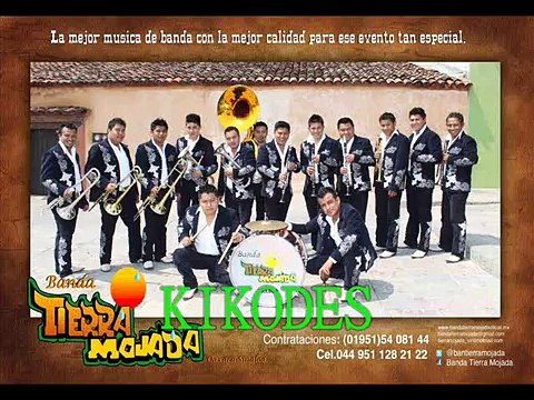 Flor De Piña - Banda Tierra Mojada 2012 (Sones Con Banda)