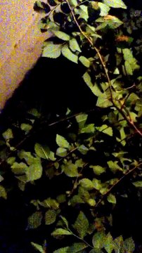 Matthew Lush had his username stolen by Lush Cosmetics! WHAT the FACK!?!!