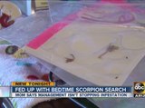 Valley woman dealing with dangerous scorpions