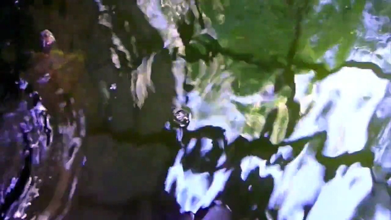 Colombian Slider/Turtle Tubs