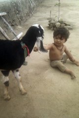 Yar Dekha - Alimuhammad 🎶