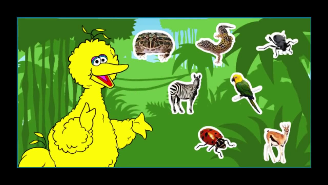 Sesame Street Elmos World Books Cartoon Animation PBS Kids Game Play Walkthrough