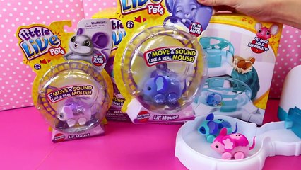 Download Video: Little Live Pets Lil' Mouse House Trail Track Set Tubes ❤ Baby Mice Moose Toys Review DisneyCarToys