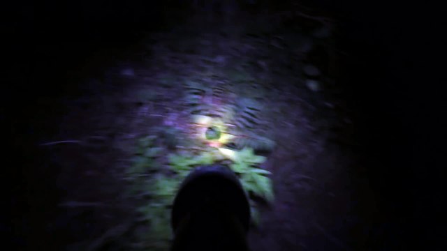 Nippon Ichi Software New Title