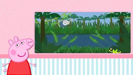 Peppa Pig em Português Aula de Ginástica