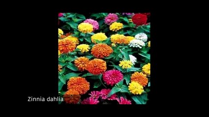 Semailles citoyennes à Blennes