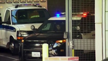 Sean Combs alias P. Diddy arrêté pour violences à Los Angeles