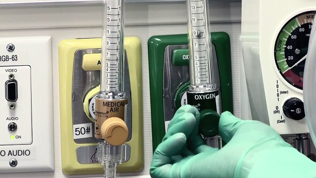 Neonatal Resuscitation Program