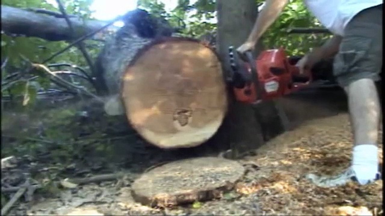 Husqvarna 576+MM VS Stihl 441+MM