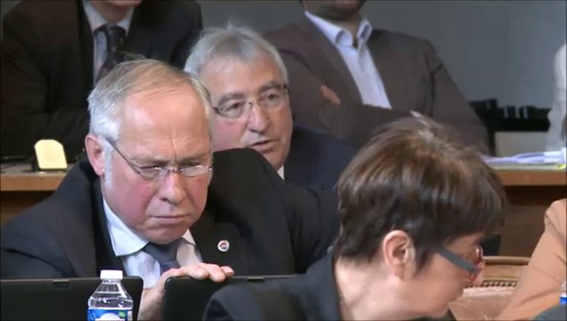 Michel BACHELARD. Budget supplémentaire 2015. Session du 19 juin 2015