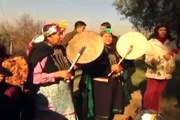 Celebración Día Nacional de los Pueblos Indigenas