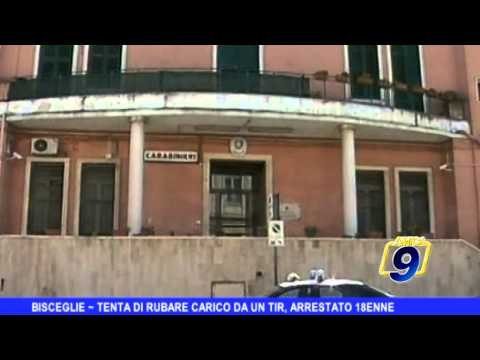 BISCEGLIE | Tenta di rubare carico da un tir, arrestato 18enne
