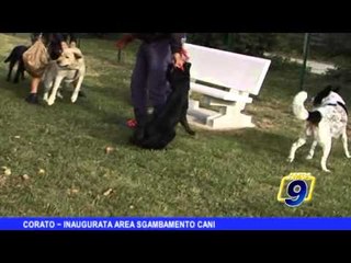 CORATO | Inaugurata area sgambamento cani