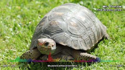 Calm Mood Children Instrumental Music "Mr. Turtle"