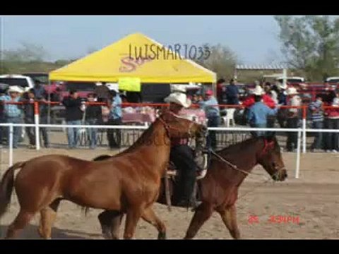 Carreras de Caballos en Caborca