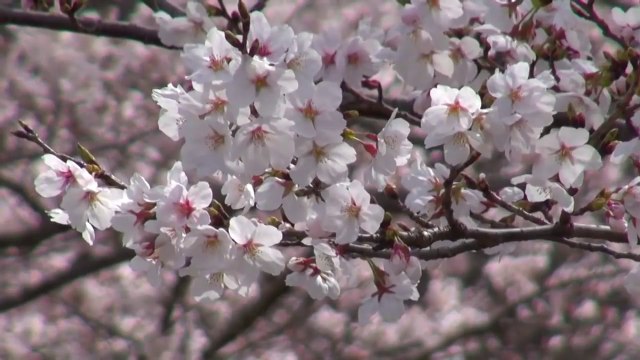 On This Day - February 16, A Shot Of History