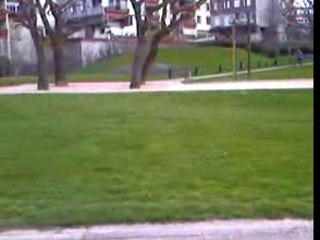 kx et yzf