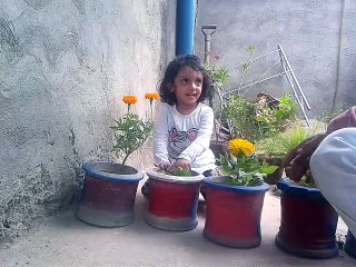 aik poda lagain janat main ghar banay