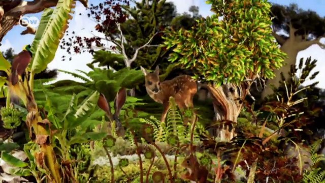 Saving Senegal's Soil | Global 3000