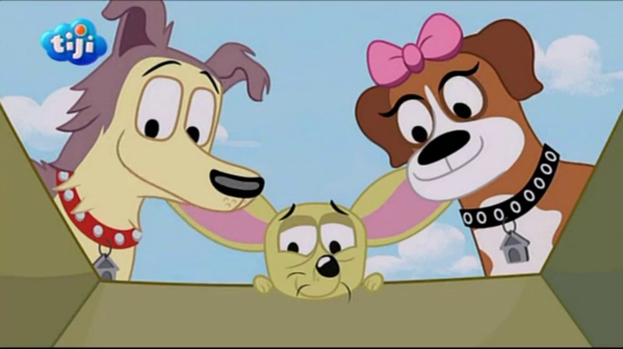 Les Puppies Agence Canine - Saison 1 Episode 9 - Un pour tous.