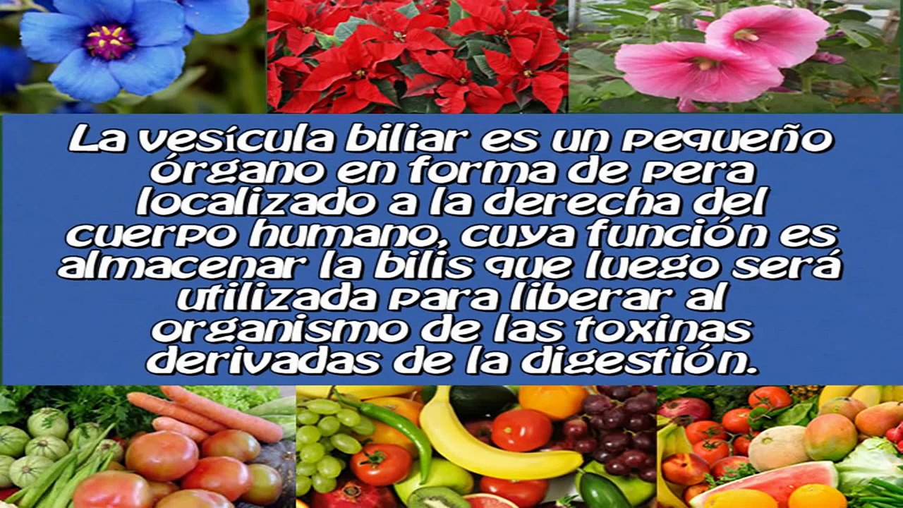 Remedios Naturales para eliminar Cálculos Biliares o Piedra en la Vesicula.
