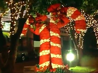 Скачать видео: Santa Fé do Sul Sonho de Natal 2008 Flores de garrafa pet árvore natal garrafa pet