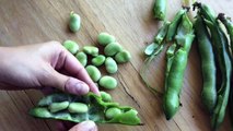 How to Double-Shell Fava Beans | Sunset