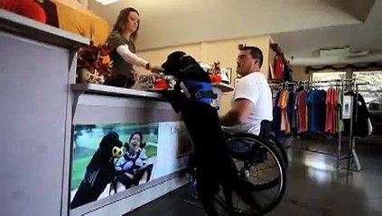 Iraq War Vet gets service dog from CCI