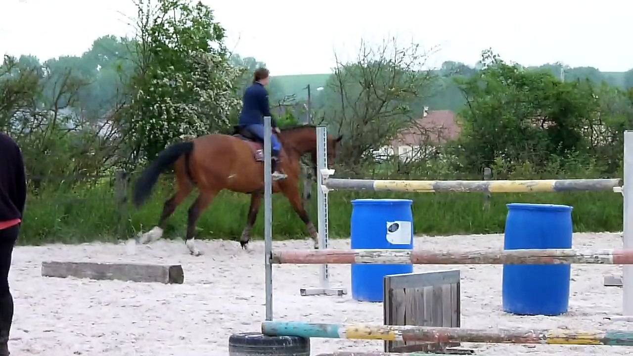 Echauffement Galop