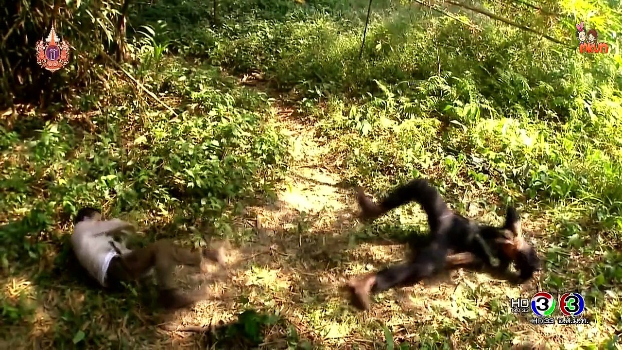 [Vietsub] Mãnh Hổ Tập 3.1