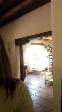 Ce que fait son perroquet lorsqu'elle l'appelle vous fera bien rire