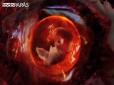 Evolución del embarazo: Desarrollo del feto a los 3 meses
