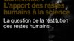 La question de la restitution des restes humains (Restitution des têtes maories / tout public 2/3)