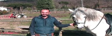 Equitazione Classica Dressage - Francesco Vedani - Passi indietro