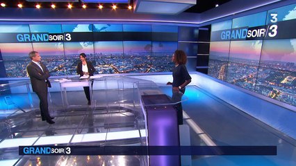 OGM : Un particulier consomme un agneau-méduse