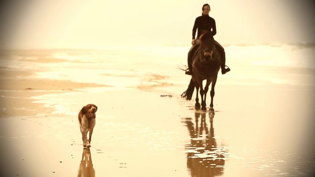 Horse surfing Gouner Team Lacanau 2015