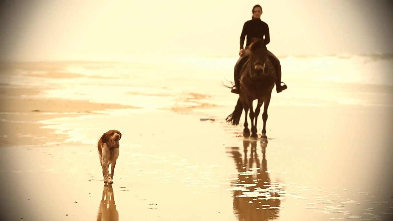 Horse surfing Gouner Team Lacanau 2015