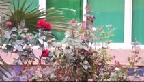 فيديو كليب جامعة الملك خالد