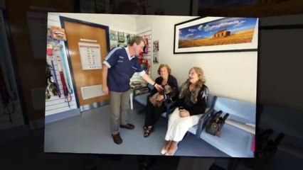 Gordon Vet Hospital in Sydney