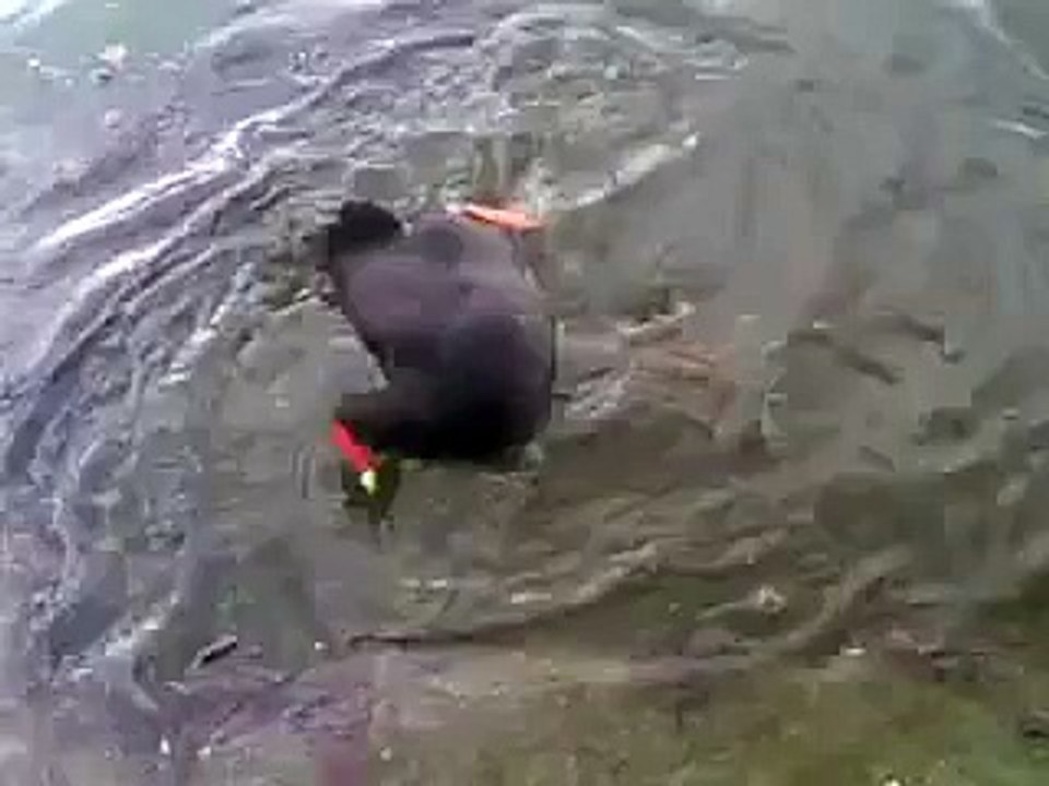 swanp hen with broken neck