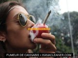 Les nouveaux effets du cannabis