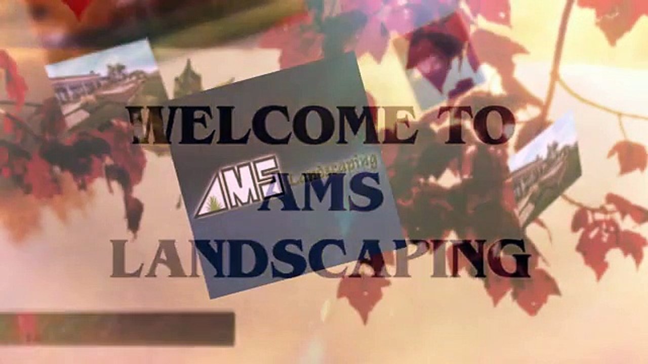 Arizona Landscaping Companies | AMS Landscaping 602-944-0421