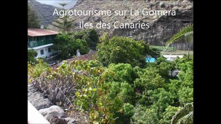 colibris-vacances-Agrotourisme-Gomera-541