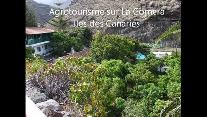 colibris-vacances-Agrotourisme-Gomera-541