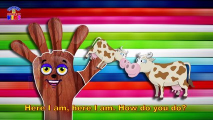 Finger Family Nursery Rhymes for Children Cow Cartoons