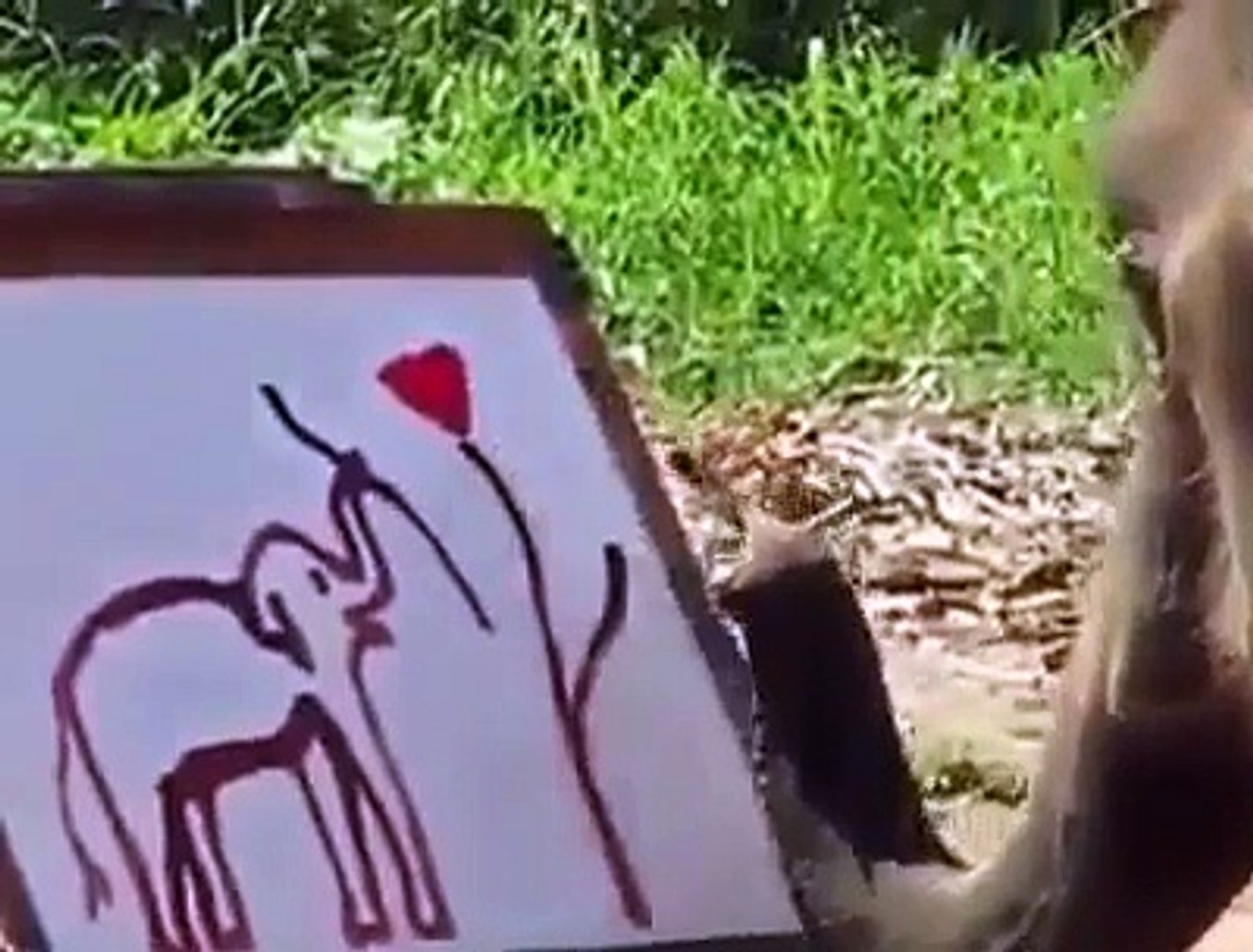 ⁣Elephant Drawing Elephant