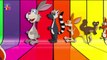 Funny Bunny And Friends Finger family cartoons - Nursery kids Rhymes