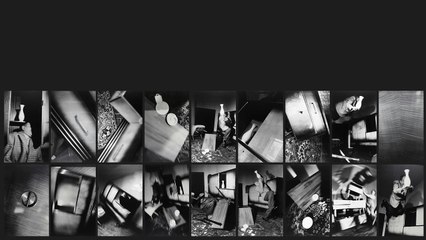 Anna et Bernhard Blume, la photographie transcendantale - Du 1er juillet  21 septembre 2015