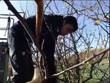 Tailleur agricole -une vidéo métier pôle emploi